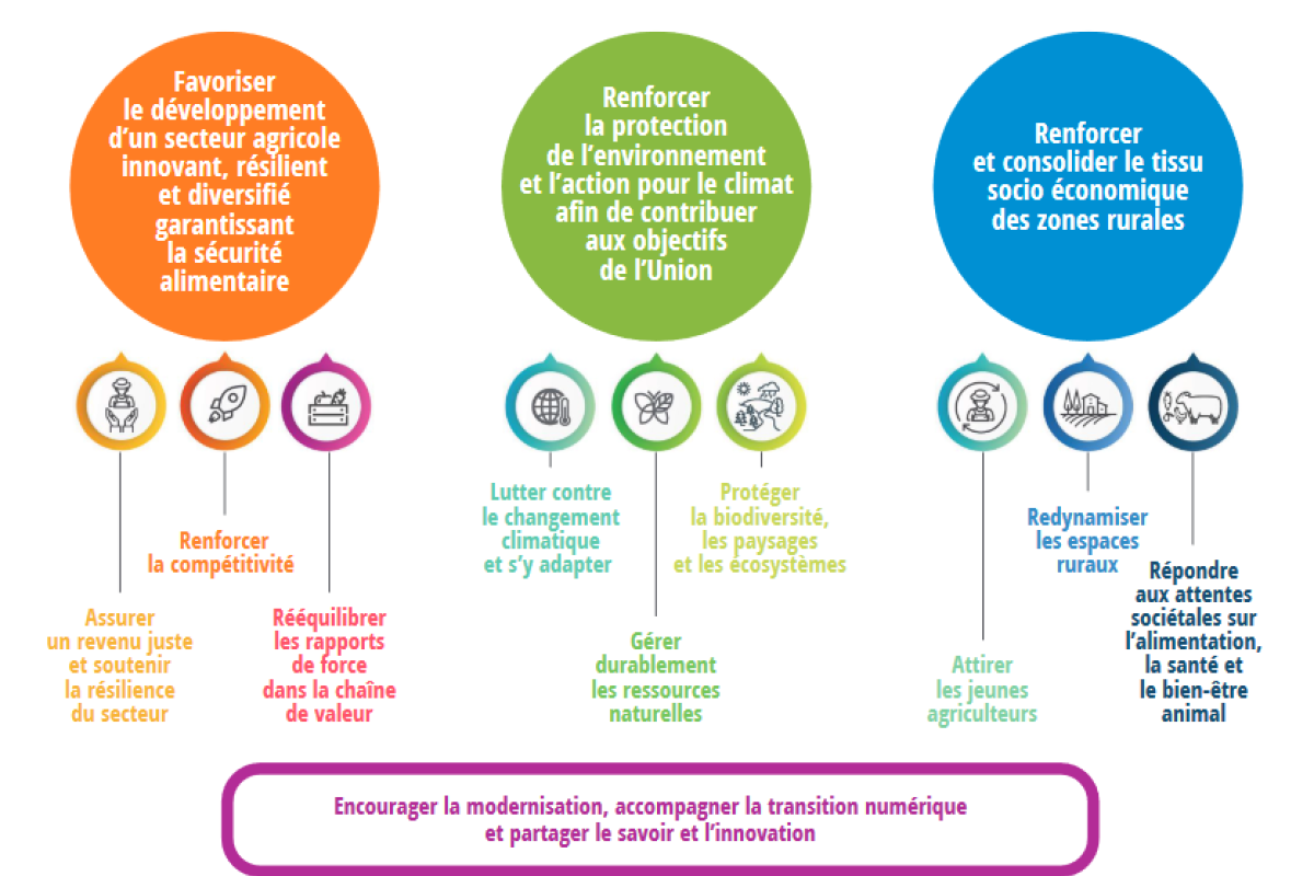 Schéma présentant les objectifs de la PAC