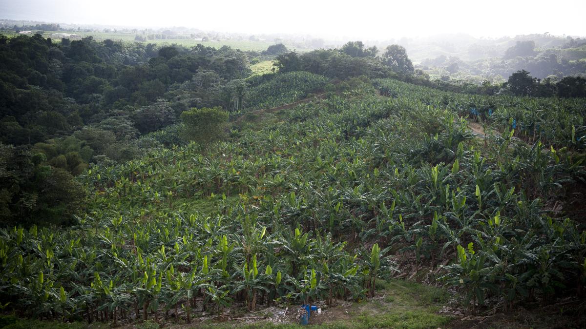 Exploitation agricole