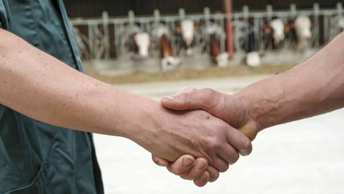 Poignée de mains entre un vétérinaire et un agriculteur.