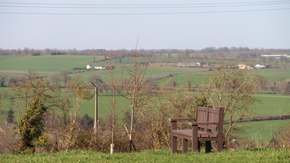 De jeunes pousses d'arbres plantées à côtés d'un banc face à une vue panoramique