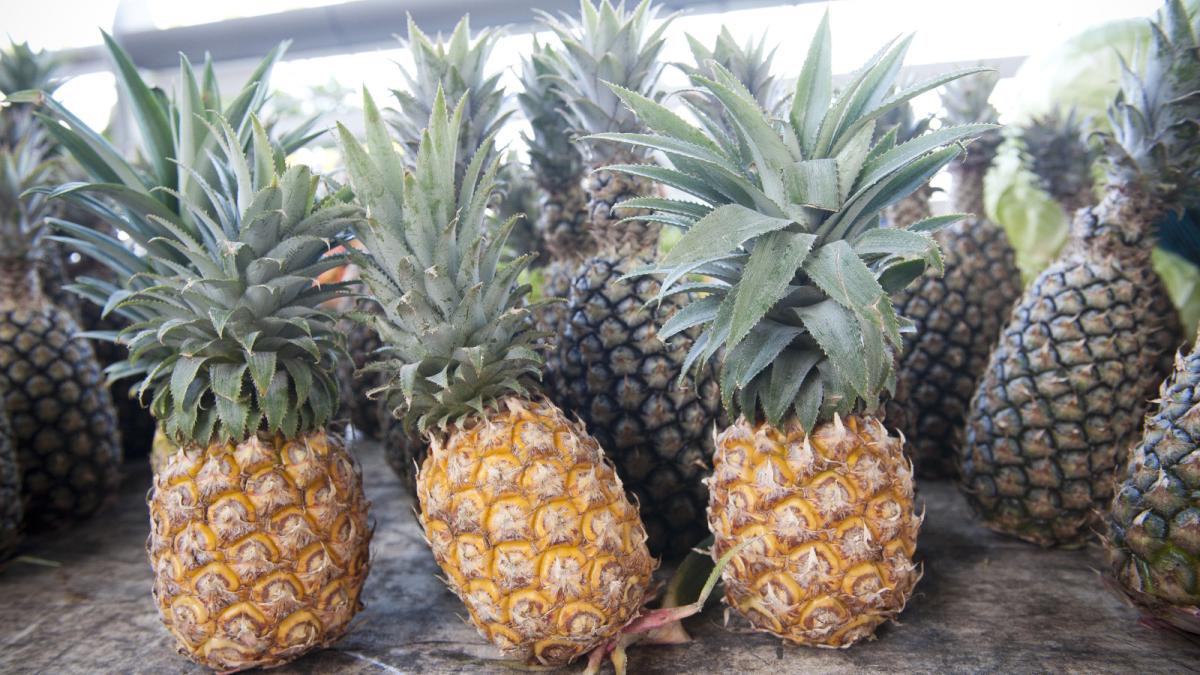 Ananas