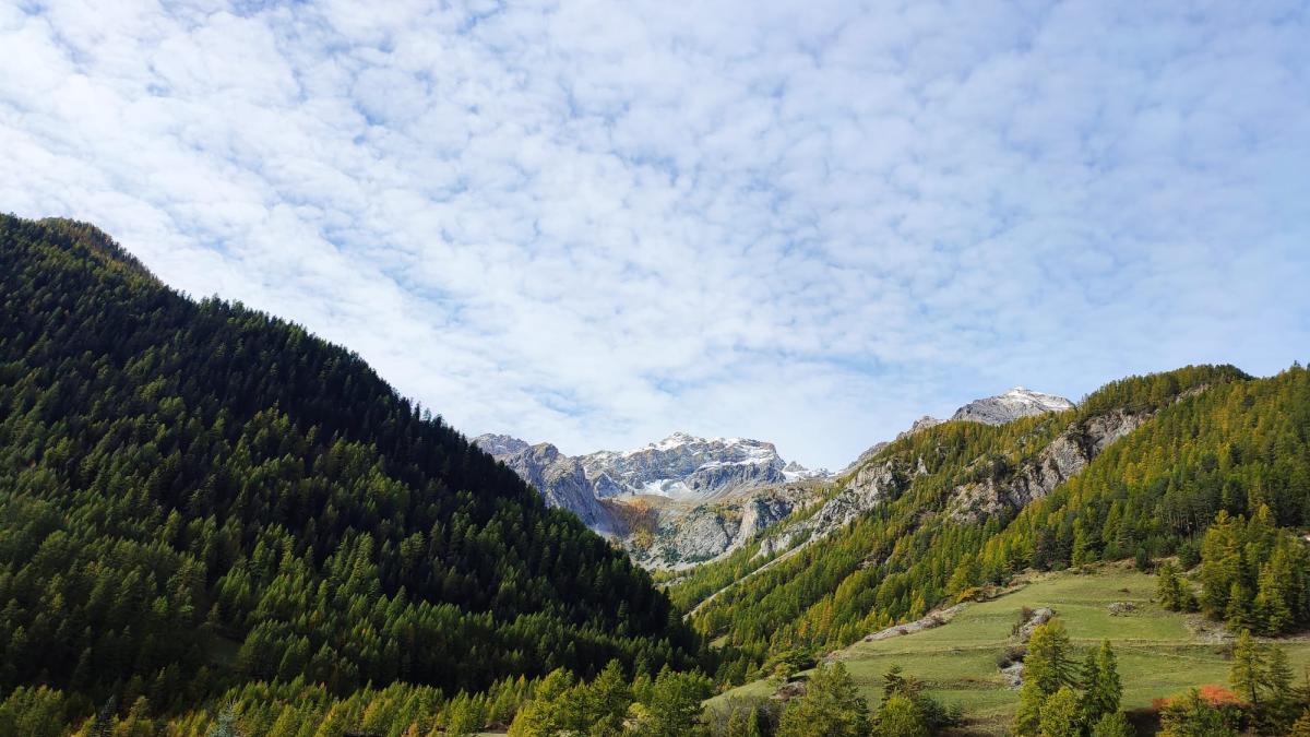 Observatoire régional de la forêt et du bois-paysage-Arvieux-05