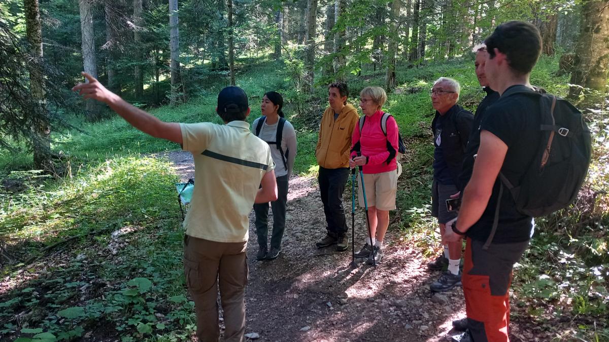 Communauté de Communes Serre-Ponçon – Charte forestière