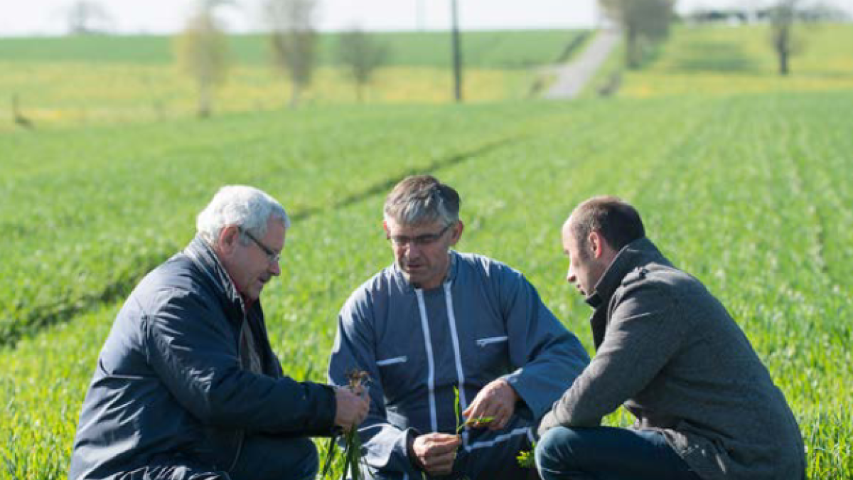 Page de couverture de la revue